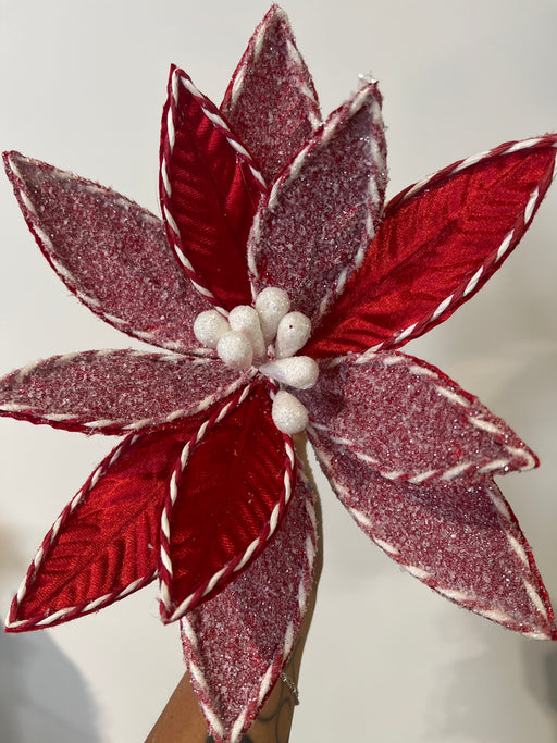 Poin  X 1 Red Mix 25774 - DecoExchange®