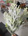 20" Pine Bush With Snow - 5 Stems 83659 - DecoExchange®