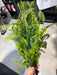 Plastic Grass/Fern Mix - 18 Stems - Green - 59691 - DecoExchange®