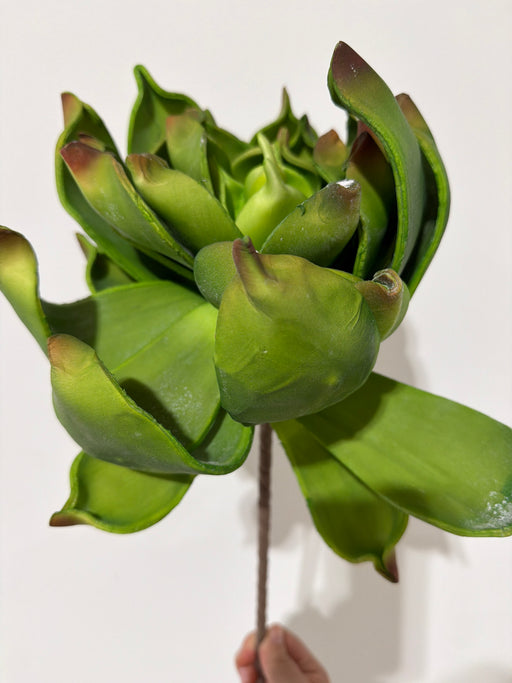 26" Foam Echeveria Stem MTF26669-GRN - DecoExchange®