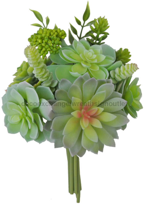 12 In Succulent Bundle 81097 Greenery