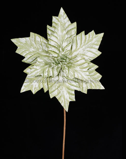 12’’Dia X 18’’L Poinsettia Stem Sage Green/Brushed White Nf412231 Pick