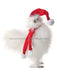 13’’ Downey Christmas Chicken W/Scarf/Hat Whrd Mtx74113-Whrd Attachment