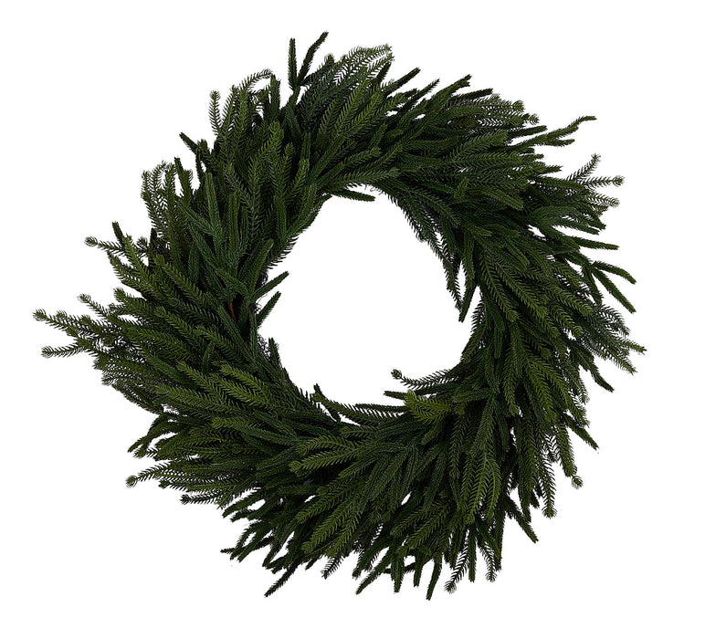 26"Dia Willow/Norfolk Pine Wreath Tt Green XX2585