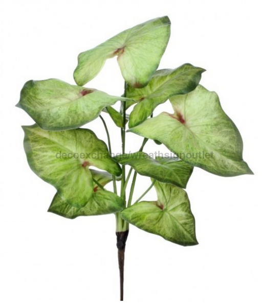 16’’ Summer Caladium Plant Mtf24456-Grwh Greenery