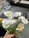 16’’ Wrinkle Poppy Bush-Cream IP35355 Greenery