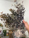 16In Plastic Sweetgum Leaves Bush Flocked Sage/Brown IP530077 Pick