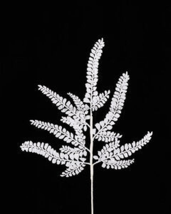 16"L Glitter Fern Spray X6 White XS236327 - DecoExchange