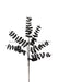 17’’L Glitter Eva Eucalyptus Pick Black Xs235102