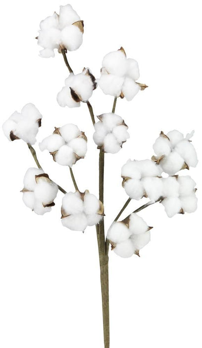 18.5"L Cotton Spray Natural FH7539 - DecoExchange