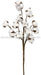 18.5"L Cotton Spray Natural FH7539 - DecoExchange
