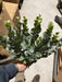 19’’L Spiral Eucalyptus Bush X3 Tt Green Fg637531 Greenery