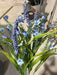 Gypso/Astilbe Bshx12 Blue 10Dz 73595 - DecoExchange®