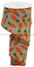 2.5’’X10Yd Carrots On Cotton Tan/Orange/Green Rga1588F2 Ribbon