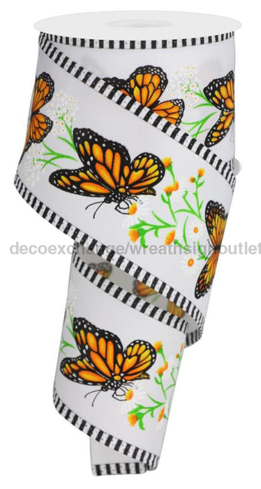 2.5’’X10Yd Monarch Bttrfly/Daisies/Stripe White/Dk Org/Ylw/Dk Grn Rga874127 Ribbon