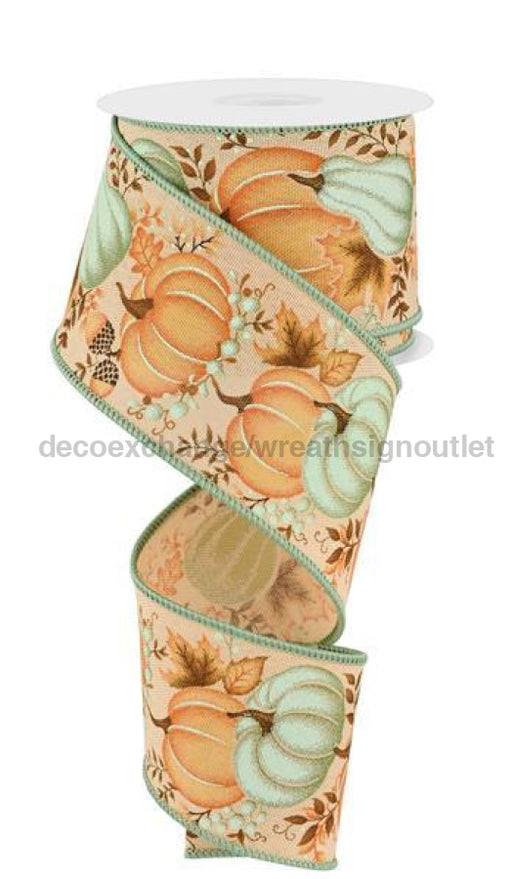 2.5"X10Yd Pumpkin/Gourd/Leaves Tan/Lt Orng/Lt Sage RGE1987J1 - DecoExchange®