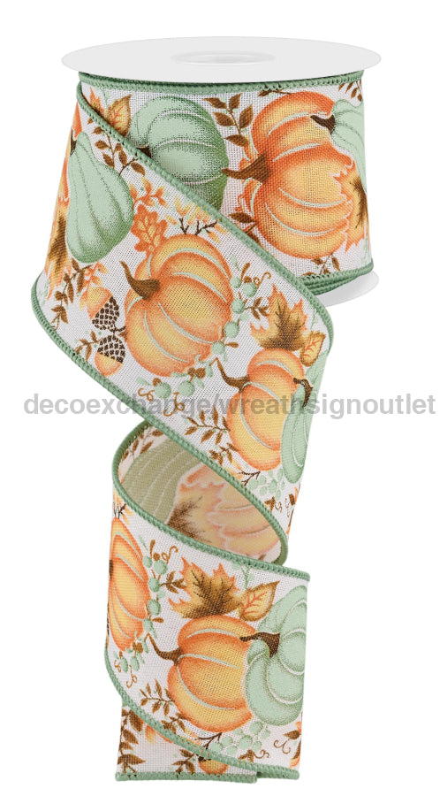 2.5’X10Yd Pumpkin/Gourd/Leaves Wht/Lt Orng/Lt Sage Rge1987J3 Ribbon