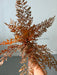 20 In Plastic Fern Bush 85369-UV-AUTYE Pick