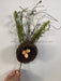 20’’ Spray Pussy Willow With Birdnest Ip35382 Greenery