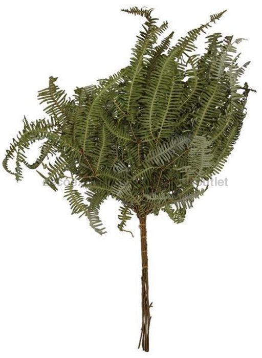 21.5"L Dried False Staghorn Fern Green TF0023 - DecoExchange