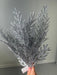 21 In Pine Bush X 4 W Glitter 85266-SILVER Pick