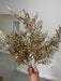 22 In Fern Bush X 5 W Glitter 85268-CHAMP Pick