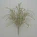 22 In Willow W Glittered 82841-Champ Greenery