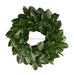 22"Dia Magnolia Leaf Wreath Green FG6497 - DecoExchange