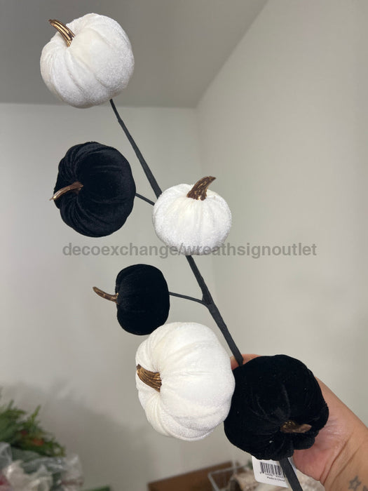 22In Branch Blackwhite Velvet Gold Stem Mini Pumpkins IP530502 Pick