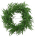 24Dia Asparagus Fern Wreath Green Fg6086 Base