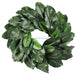 24"Dia Magnolia Leaf Wreath Green XX7899 - DecoExchange