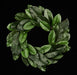 24’Dia Uv Shield Magnolia Leaf Wreath Tt Green/Brown Fg6381