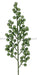 24’Glittered Cluster Berry Spike Apgr Mtx68969 Pick