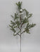 24in Frosted Mistle Toe Spray ISB71373 Greenery