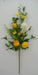 25 In Lemon Ranunculus 64892 Greenery