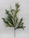 25In Spray Rocky Mountain Mix Pines IP510755 Pick