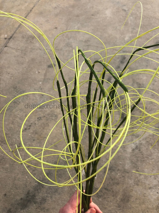 28 INCH TWIG 53952-GN - DecoExchange