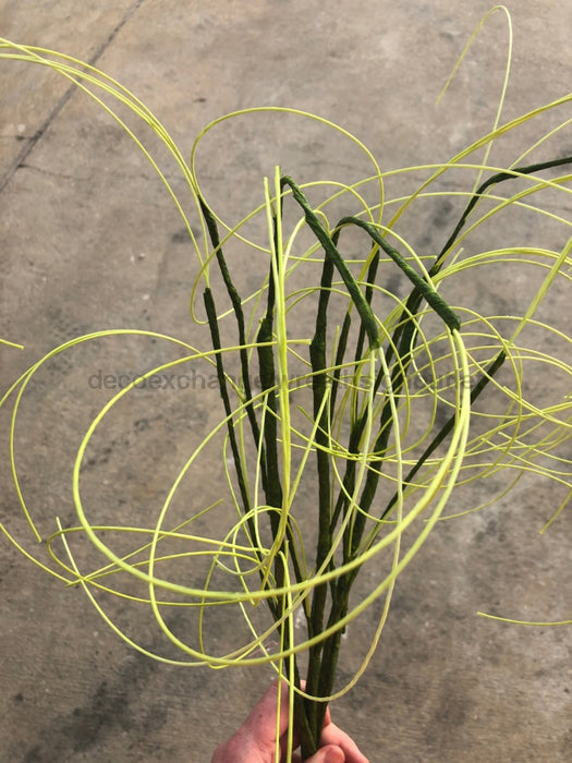 28 INCH TWIG 53952-GN - DecoExchange