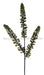 29’’L Glitter Amaranthus Spike Spray Lime/Black FH8196RJ Pick
