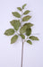 29’’L Salal Leaf Spray Tt Green HA173996 Pick