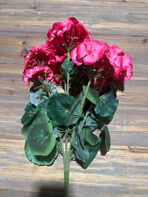 Geranium Bush X 7 20" MTF22054-HTPK - DecoExchange®