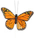 3.25’’ Monarch Butterfly W/10’’Wire Orange/Black 12Ea/Bx MB9776 Pick