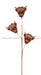 30’’H Felt Highland Cow Spray Rust Orange/Beige Mn035241 Attachment
