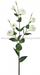 36’’ Multi Flowered Lisianthus Spray Mtf24440-Wht Greenery