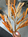 36In Branch Soft Touch Yucca Leaves Tucson IP530373 Pick