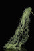36L Hanging Spanish Moss Green Fg6465 Greenery