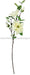 37"L Magnolia Spray White/Tt Green FS3474 - DecoExchange