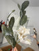 38’’ Foam Snowy Magnolia Stem X2 MTX73731-CRM Pick
