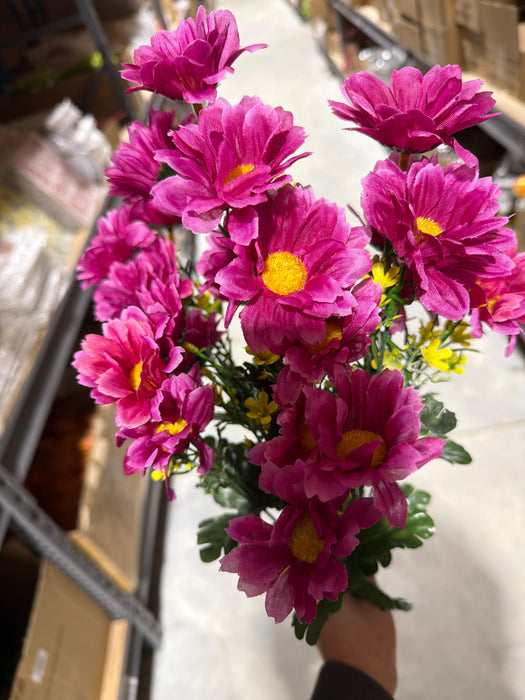 Daisy X 12 Bty1/8Dz 12788 - DecoExchange®