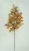 33 In Mixed Black Cohosh 40504-BEBRN